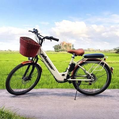 Cream vintage e-bike with a red basket on a rice-field road